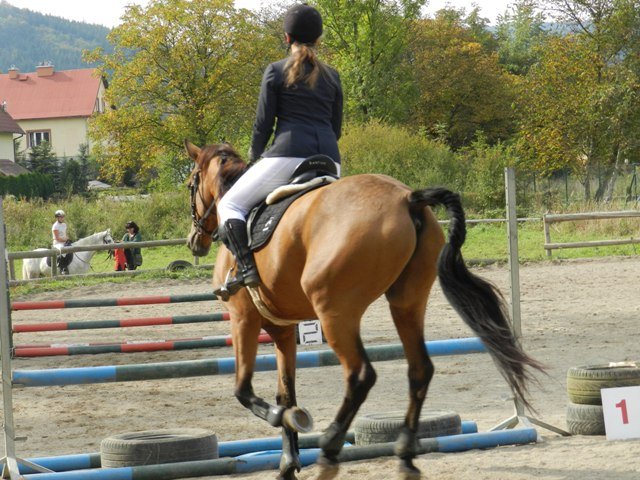 Babie Lato 2016